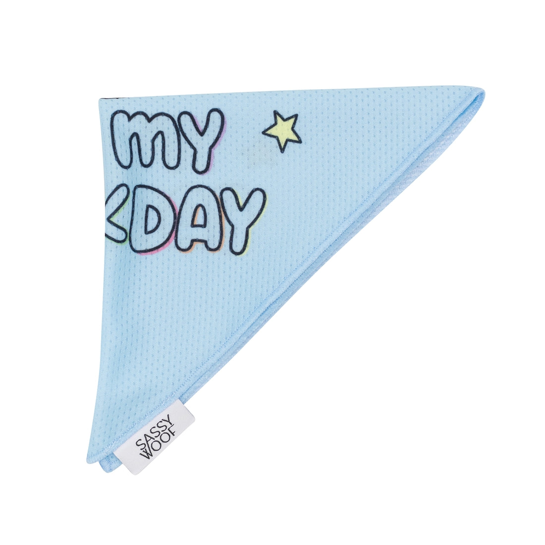 Barkday Bandana: Blue