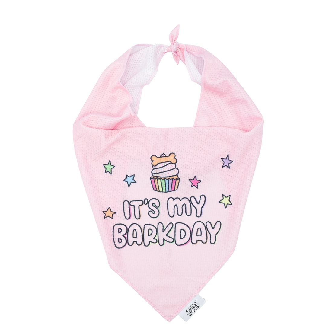 Barkday Bandana: Pink