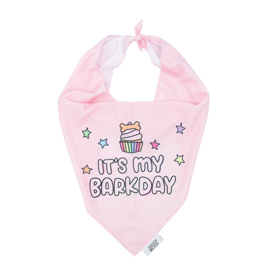 Barkday Bandana: Pink