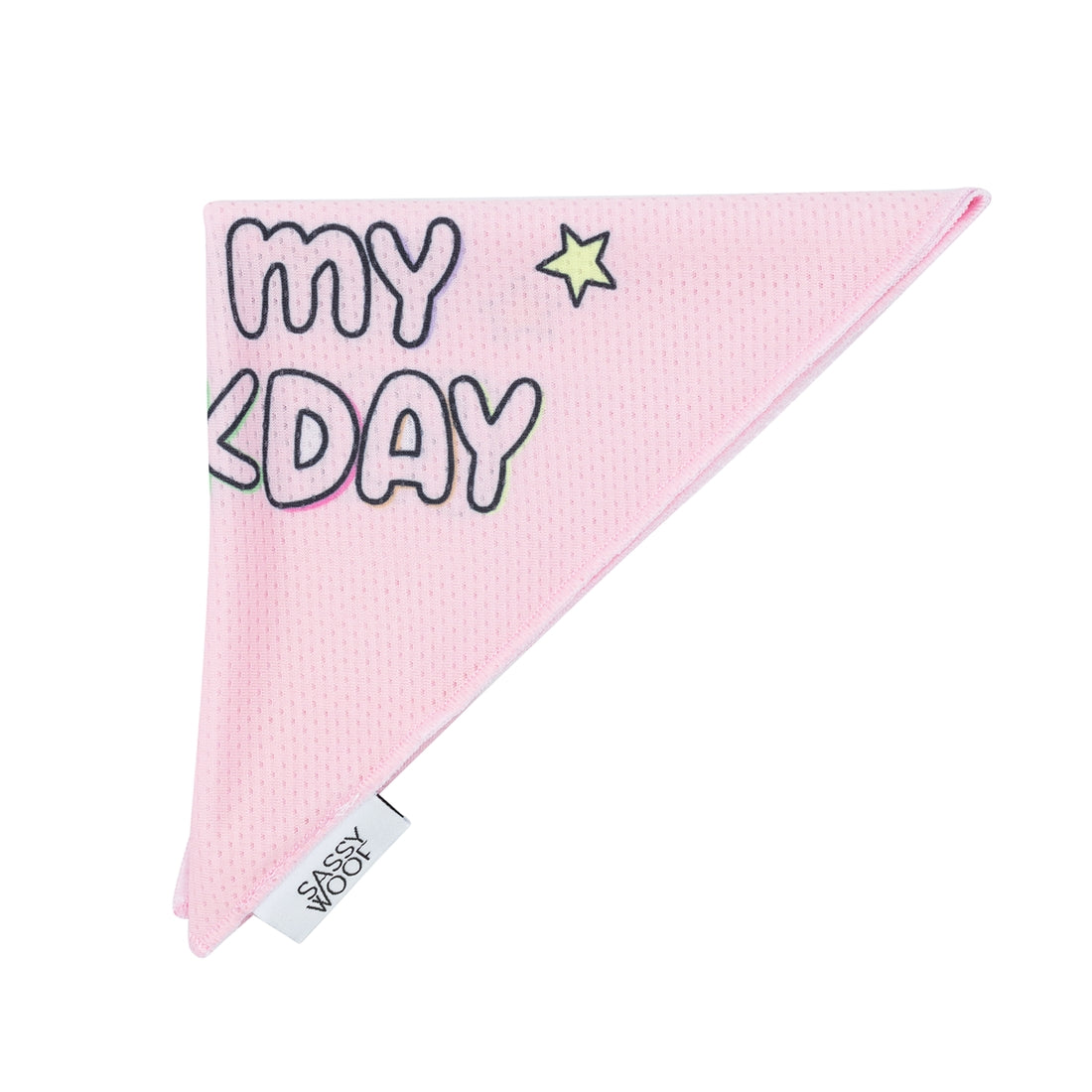Barkday Bandana: Pink