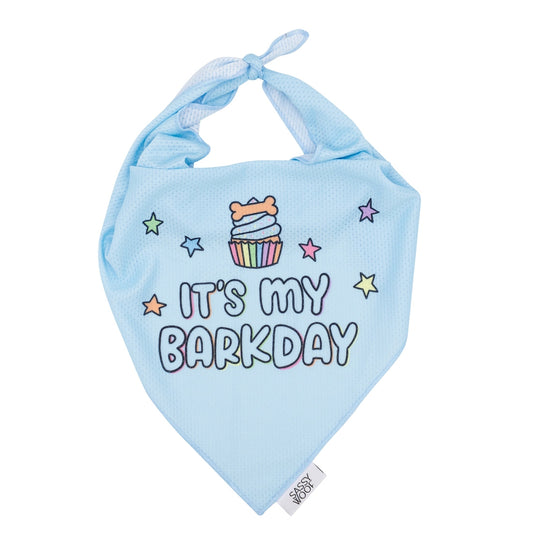 Barkday Bandana: Blue