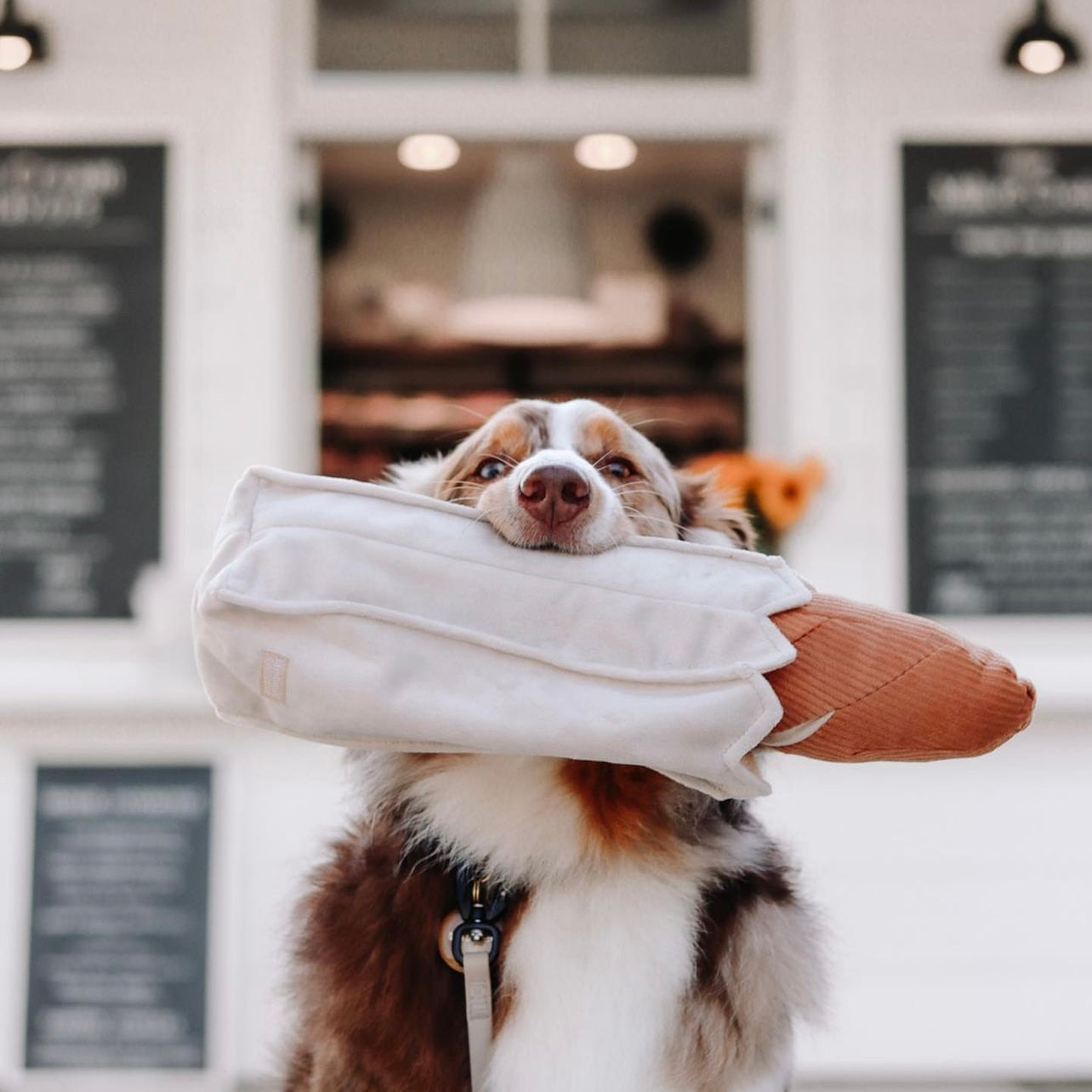 Baguette Enrichment Dog Toy